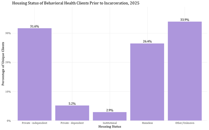 13_Housing-status-of-clients.png