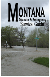 Montana Disaster and Emergency Survival Guide cover images of a flooded city street