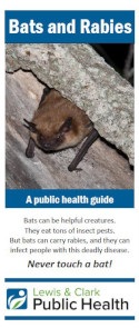 bat-brochure-cover