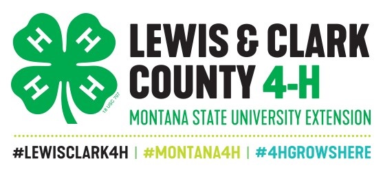 LC4H2018withHashtags.jpg