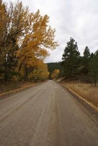 dirt road in the fall