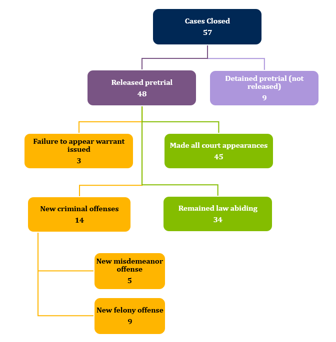 Pretrial-success-flowchart.png