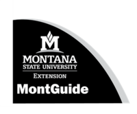 MontGuides Logo