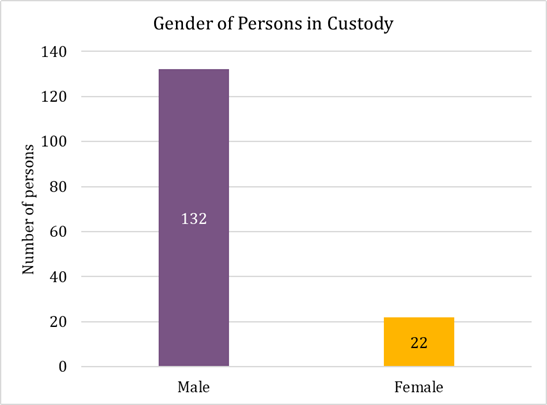 Gender-of-persons-in-custody.png
